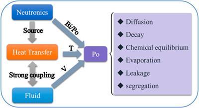 Multi-Physics Model Development for Polonium Transport Behavior in a Lead-Cooled Fast Reactor